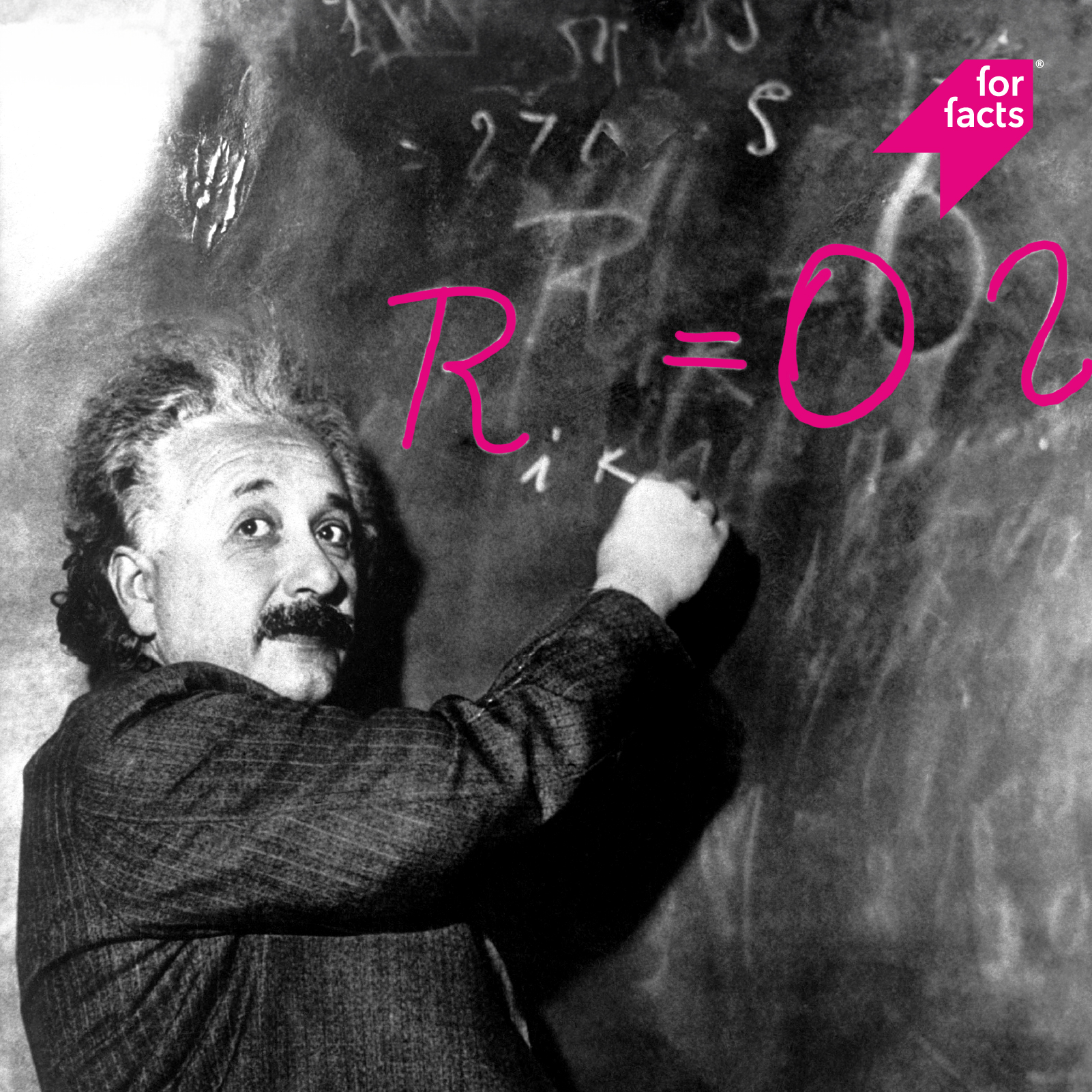 Business Analist bij Open Dutch Fiber